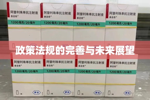 宁德政策法规的完善与未来展望