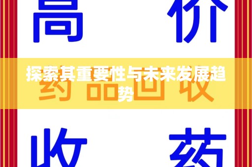 宁德探索其重要性与未来发展趋势