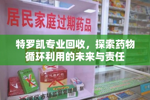 宁德特罗凯专业回收，探索药物循环利用的未来与责任