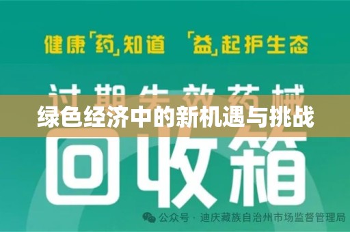 宁德绿色经济中的新机遇与挑战