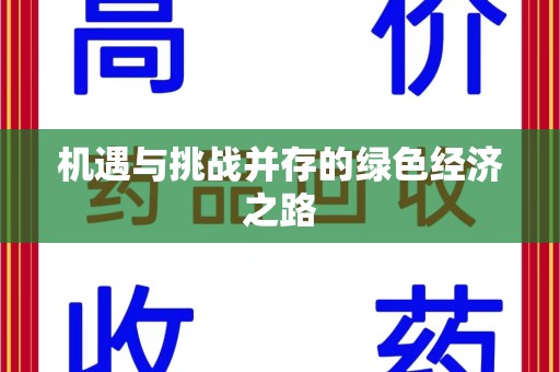宁德机遇与挑战并存的绿色经济之路