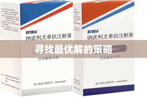 宁德寻找最优解的策略