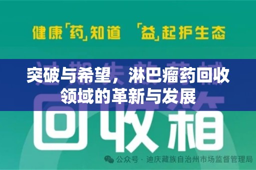 宁德突破与希望，淋巴瘤药回收领域的革新与发展