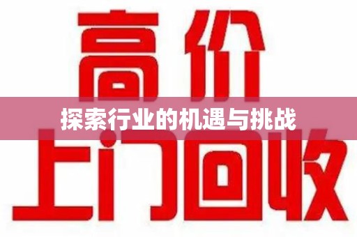 宁德探索行业的机遇与挑战